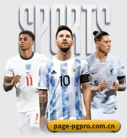 五大服务分区,信息按项目分类 - 多运动项目内容板块